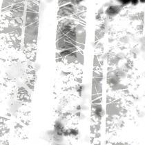 Oaks Of Bethel : Disembodied IV